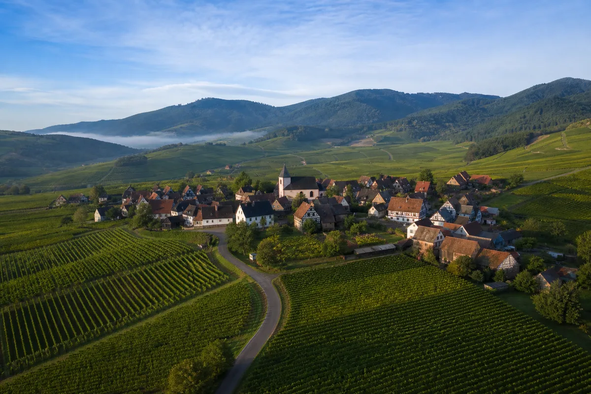 Vue aérienne du vignoble alsacien au pied des Vosges avec un village à colombages